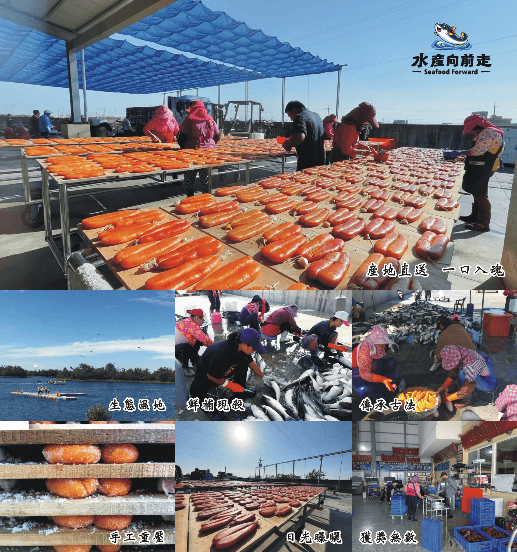 烏魚子產地與製程拼貼